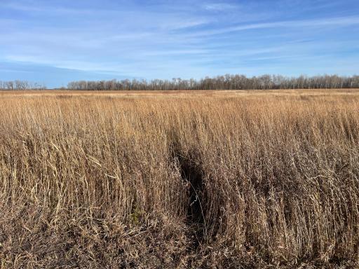 TBD HWY 10, Thief River Falls, MN 56701