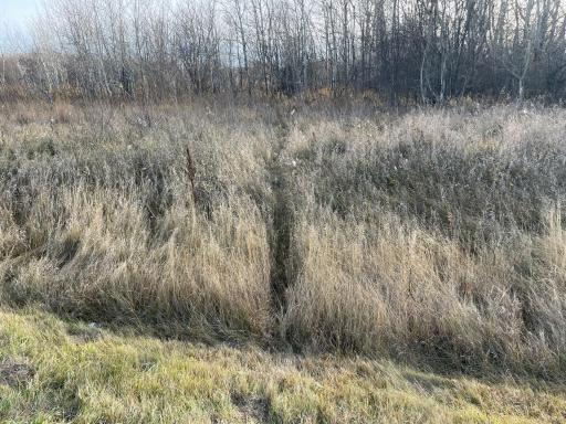 TBD HWY 10, Thief River Falls, MN 56701