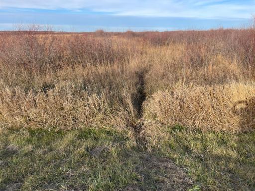 TBD HWY 10, Thief River Falls, MN 56701