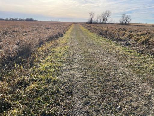 TBD HWY 10, Thief River Falls, MN 56701