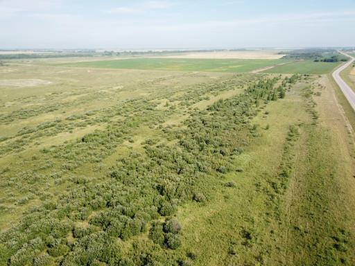 TBD HWY 10, Thief River Falls, MN 56701