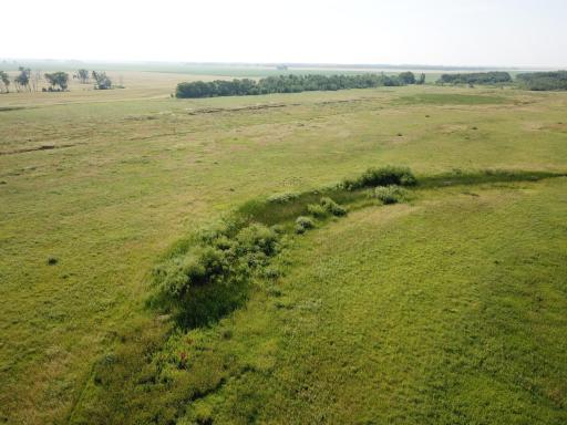 TBD HWY 10, Thief River Falls, MN 56701