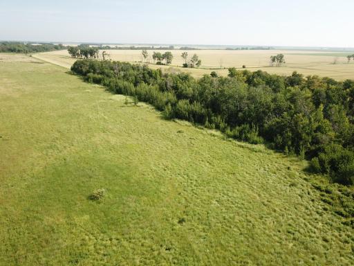 TBD HWY 10, Thief River Falls, MN 56701