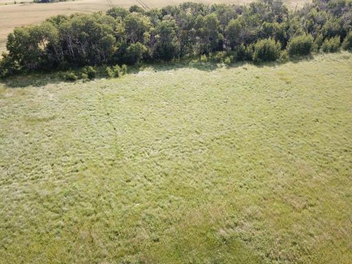 TBD HWY 10, Thief River Falls, MN 56701