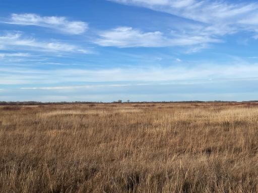 TBD 150th Street NW, Thief River Falls, MN 56701