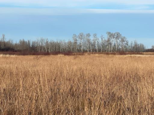 TBD 150th Street NW, Thief River Falls, MN 56701