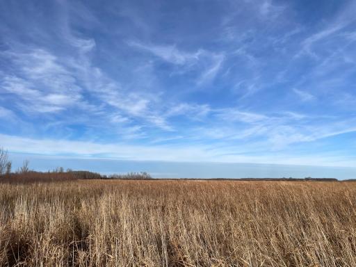 TBD 150th Street NW, Thief River Falls, MN 56701