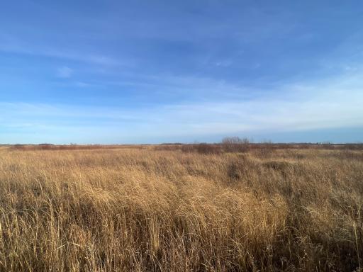 TBD 150th Street NW, Thief River Falls, MN 56701