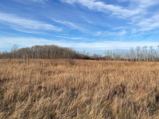 TBD 150th Street NW, Thief River Falls, MN 56701