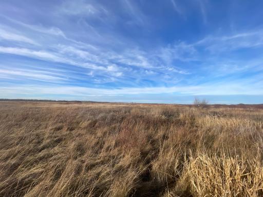 TBD 150th Street NW, Thief River Falls, MN 56701