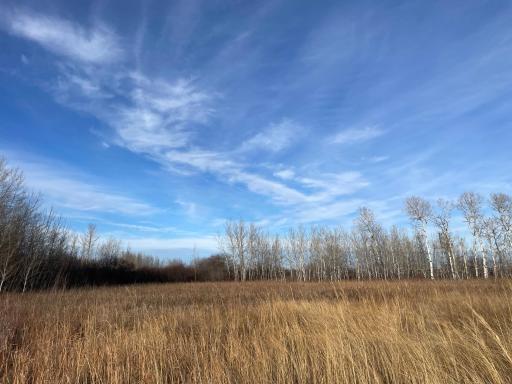 TBD 150th Street NW, Thief River Falls, MN 56701
