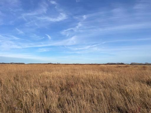 TBD 150th Street NW, Thief River Falls, MN 56701