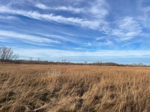 TBD 150th Street NW, Thief River Falls, MN 56701