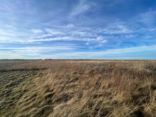 TBD 150th Street NW, Thief River Falls, MN 56701