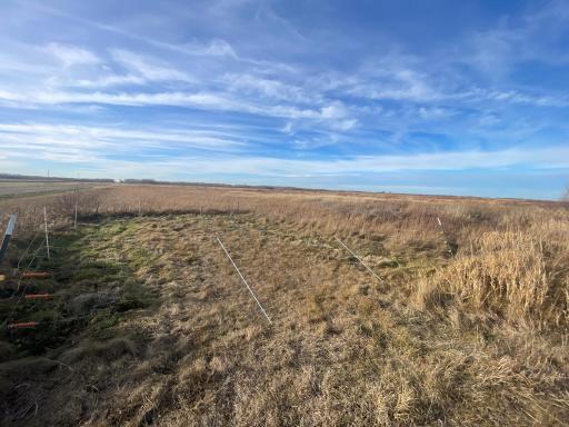 TBD 150th Street NW, Thief River Falls, MN 56701