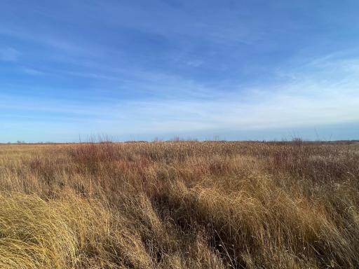 TBD 150th Street NW, Thief River Falls, MN 56701