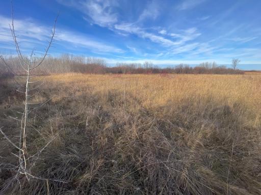 TBD 150th Street NW, Thief River Falls, MN 56701