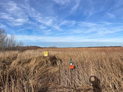 TBD 150th Street NW, Thief River Falls, MN 56701
