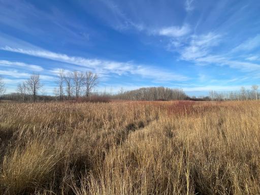 TBD 150th Street NW, Thief River Falls, MN 56701