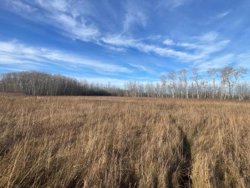TBD 150th Street NW, Thief River Falls, MN 56701