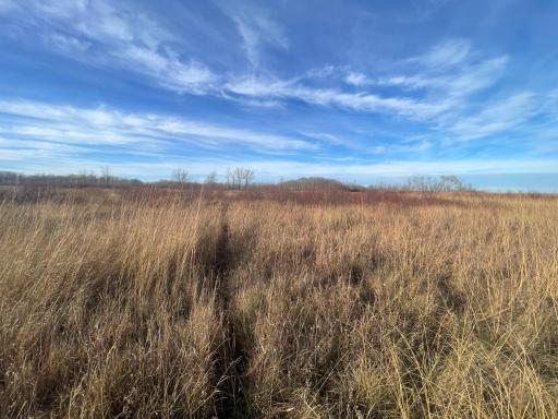 TBD 150th Street NW, Thief River Falls, MN 56701