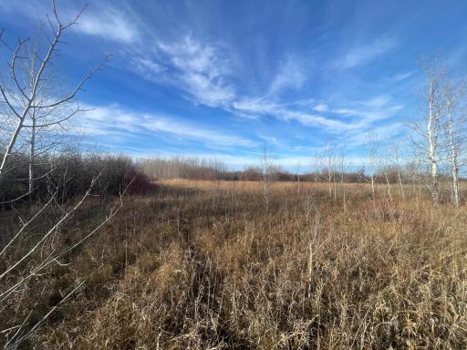 TBD 150th Street NW, Thief River Falls, MN 56701