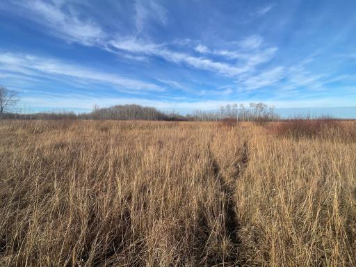 TBD 150th Street NW, Thief River Falls, MN 56701