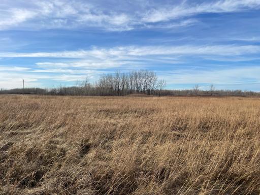 TBD 150th Street NW, Thief River Falls, MN 56701