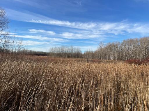 TBD 150th Street NW, Thief River Falls, MN 56701