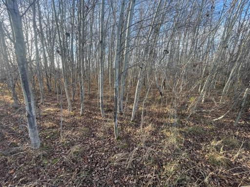 TBD 150th Street NW, Thief River Falls, MN 56701