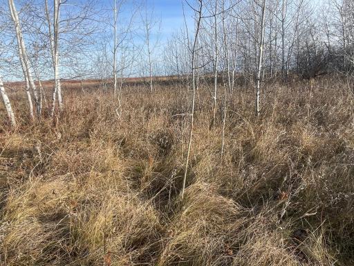 TBD 150th Street NW, Thief River Falls, MN 56701