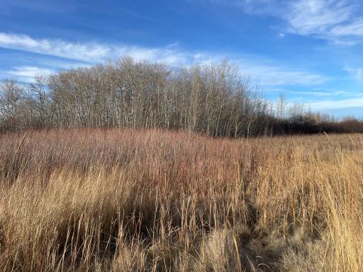 TBD 150th Street NW, Thief River Falls, MN 56701