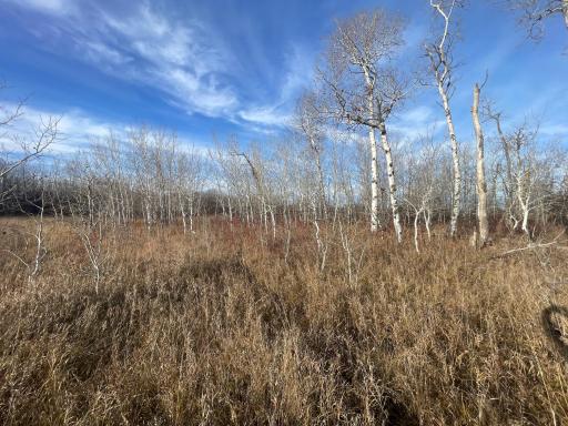 TBD 150th Street NW, Thief River Falls, MN 56701