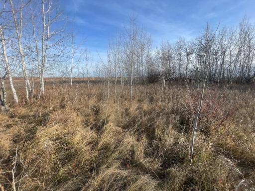 TBD 150th Street NW, Thief River Falls, MN 56701