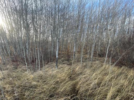 TBD 150th Street NW, Thief River Falls, MN 56701
