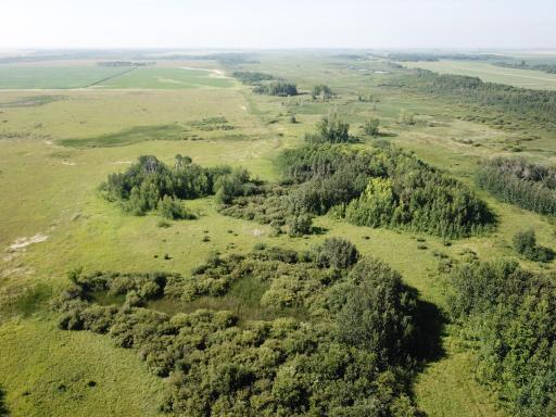 TBD 150th Street NW, Thief River Falls, MN 56701