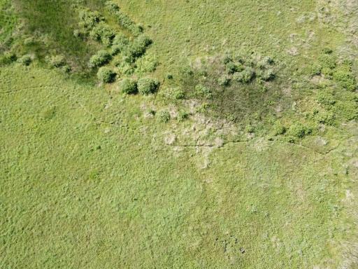 TBD 150th Street NW, Thief River Falls, MN 56701
