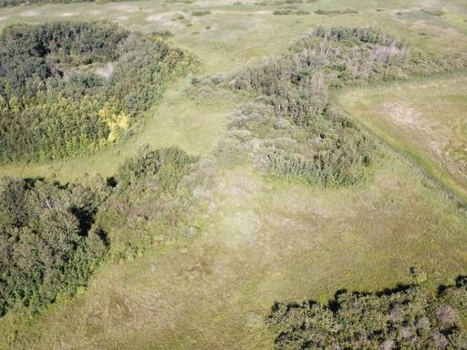 TBD 150th Street NW, Thief River Falls, MN 56701