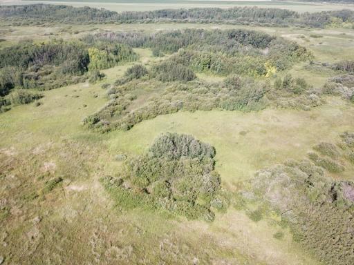 TBD 150th Street NW, Thief River Falls, MN 56701