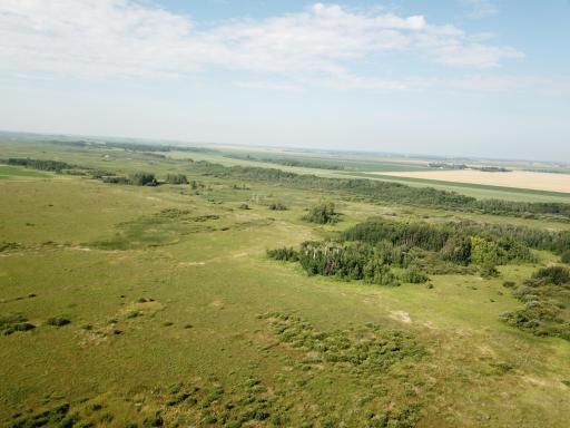 TBD 150th Street NW, Thief River Falls, MN 56701