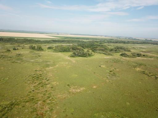 TBD 150th Street NW, Thief River Falls, MN 56701