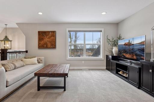 4184 Halsteads Bay Alcove, Minnetrista, MN 55331