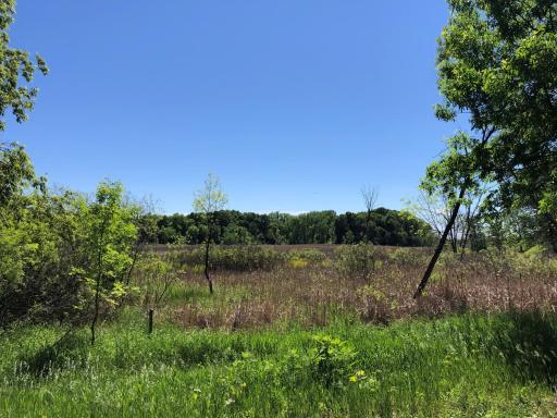 5 S Long Lake Trail, North Oaks, MN 55127