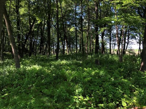 5 S Long Lake Trail, North Oaks, MN 55127