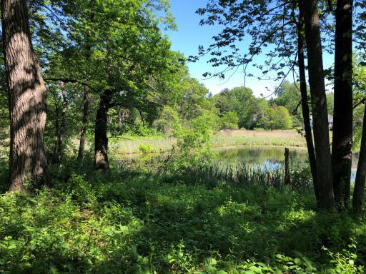 5 S Long Lake Trail, North Oaks, MN 55127