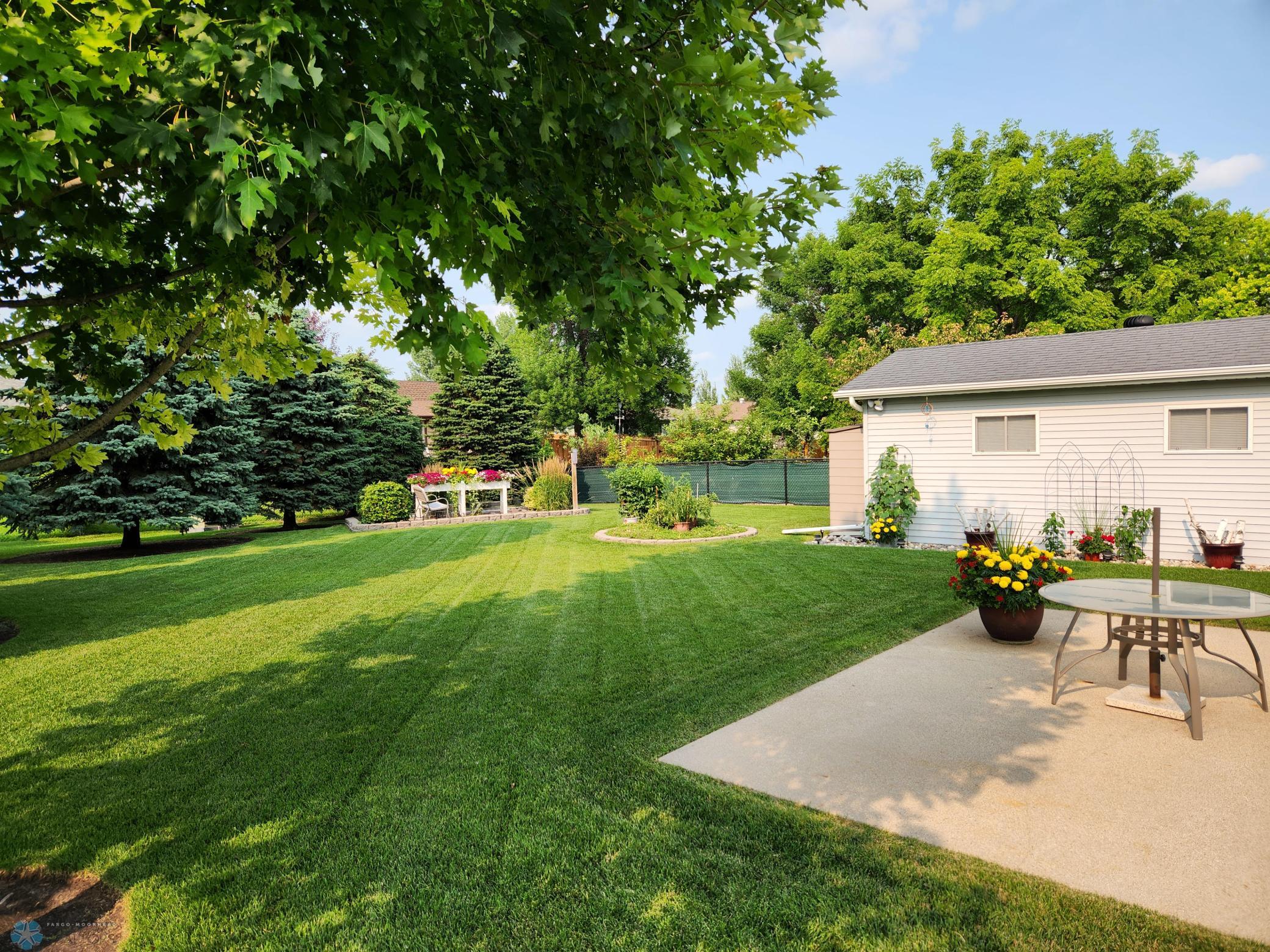 Summer backyard