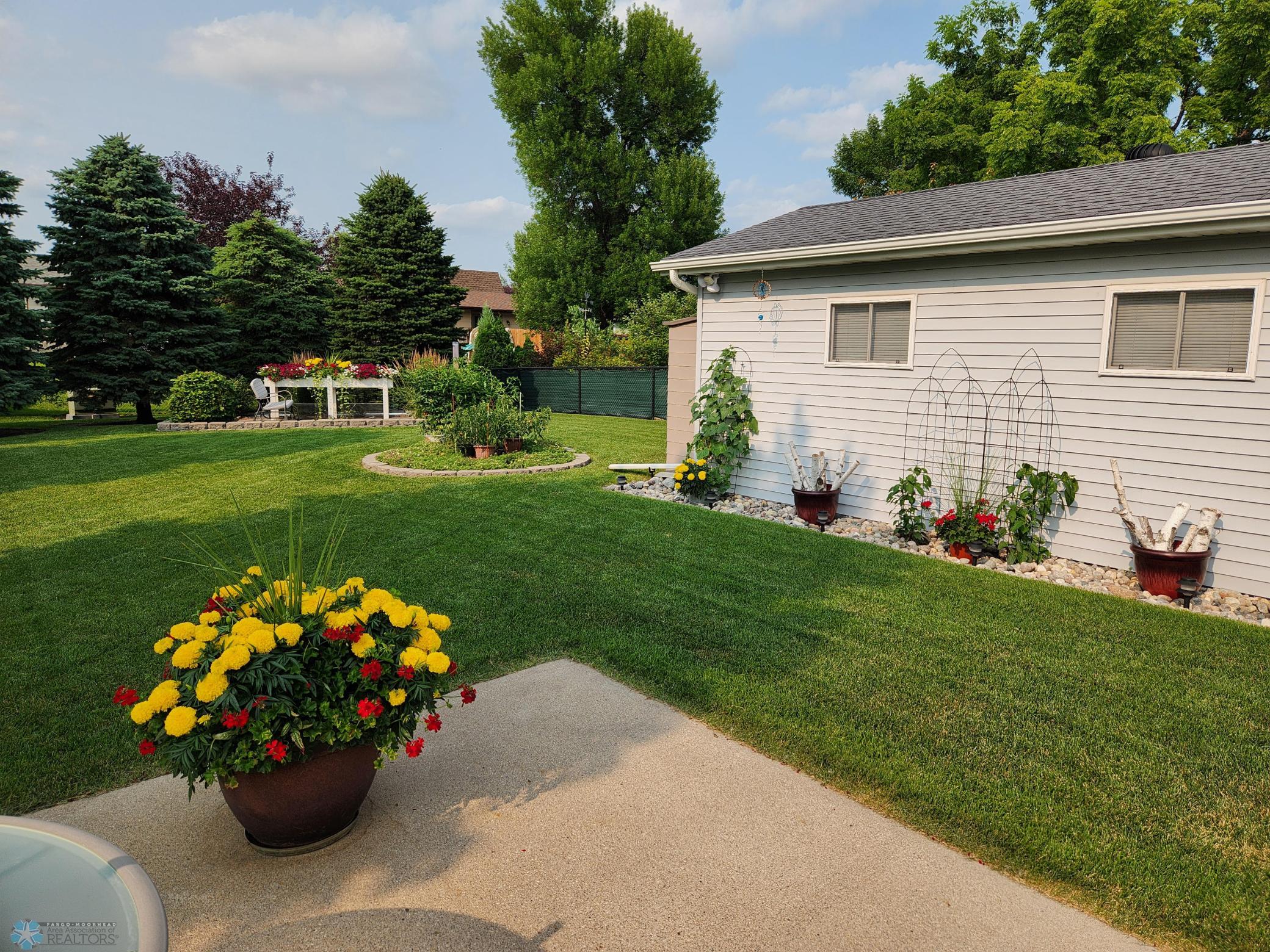 Backyard area