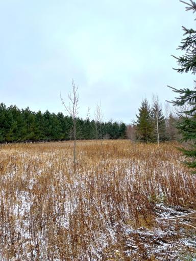 Photo for Lot 2 - TBD 330th Street, Warroad, MN 56763 - Listing #6635722 Lot 2 - TBD 330th Street, Warroad, MN 56763