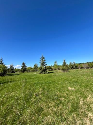 Photo for Lot 2 - TBD 330th Street, Warroad, MN 56763 - Listing #6635722 Lot 2 - TBD 330th Street, Warroad, MN 56763