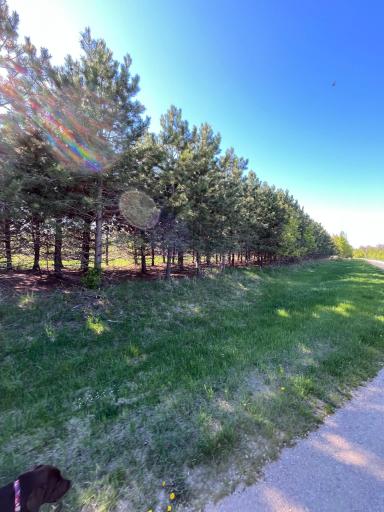 Photo for Lot 2 - TBD 330th Street, Warroad, MN 56763 - Listing #6635722 Lot 2 - TBD 330th Street, Warroad, MN 56763